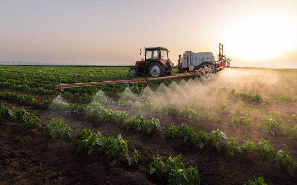 Best Insect Control  in Lemont, IL