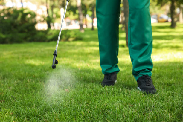 Best Termite Control Services  in Lemont, IL