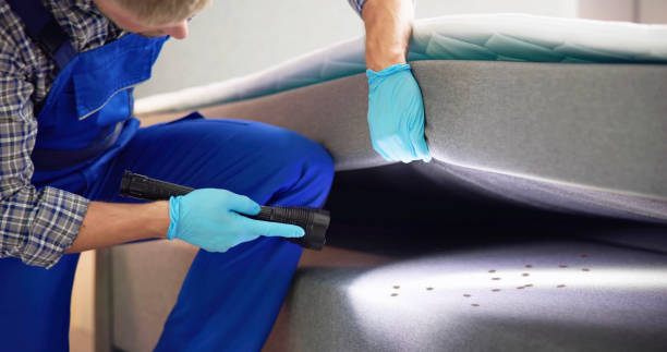 Best Emergency Pest Control  in Lemont, IL