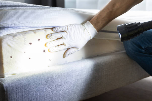 Pest Control Cost in Lemont, IL
