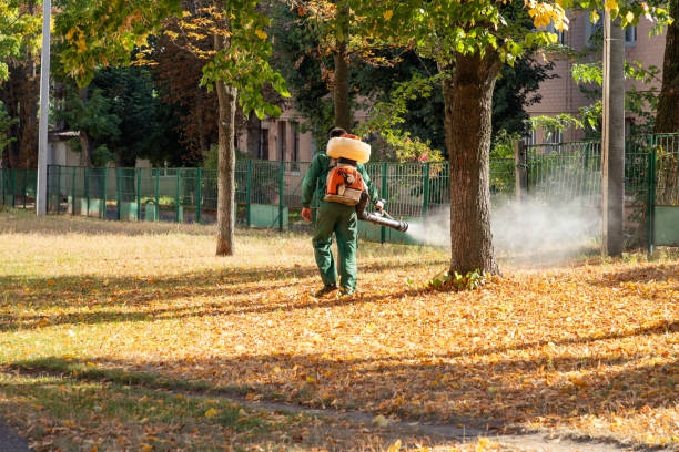 Best Local Pest Control Services  in Lemont, IL