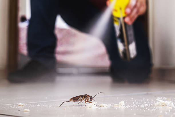Trusted Lemont, IL Pest Control Experts