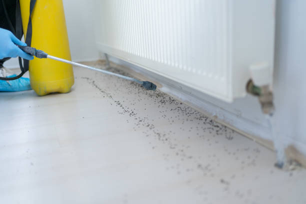 Best Flea Control Services  in Lemont, IL