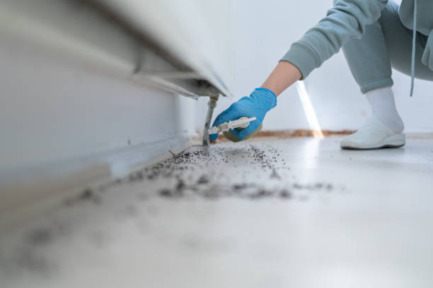 Best Flea Control Services  in Lemont, IL
