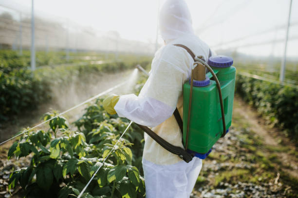 Flea Control Services in Lemont, IL